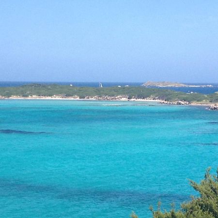 Apartament Grand Studio Route Des Sanguinaires Tres Belle Vue Mer Ajaccio  Zewnętrze zdjęcie