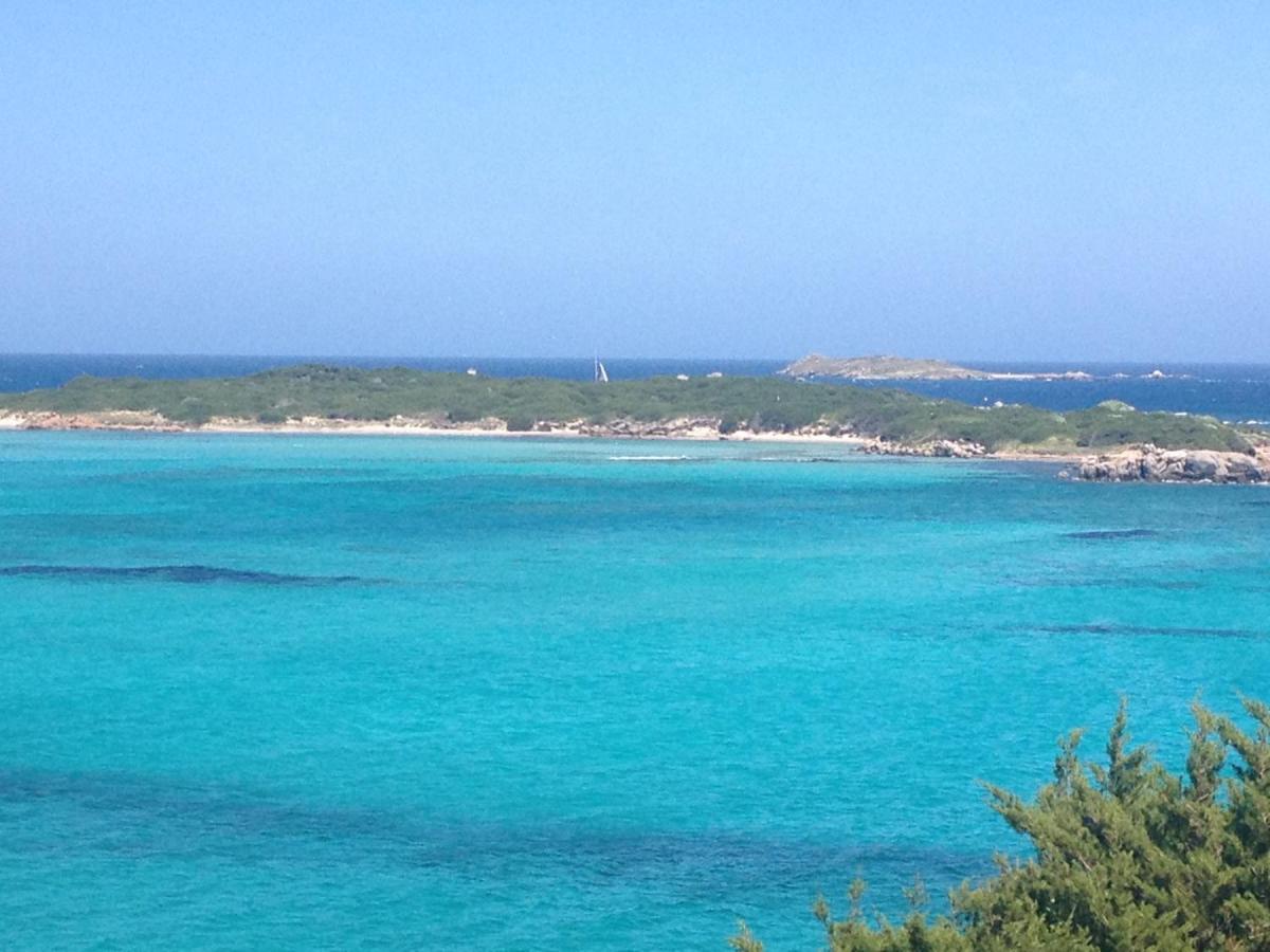 Apartament Grand Studio Route Des Sanguinaires Tres Belle Vue Mer Ajaccio  Zewnętrze zdjęcie