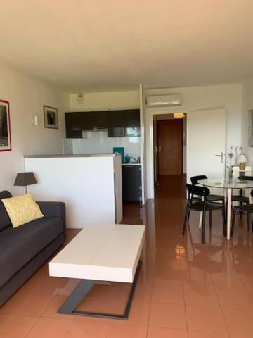 Apartament Grand Studio Route Des Sanguinaires Tres Belle Vue Mer Ajaccio  Zewnętrze zdjęcie