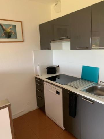 Apartament Grand Studio Route Des Sanguinaires Tres Belle Vue Mer Ajaccio  Zewnętrze zdjęcie